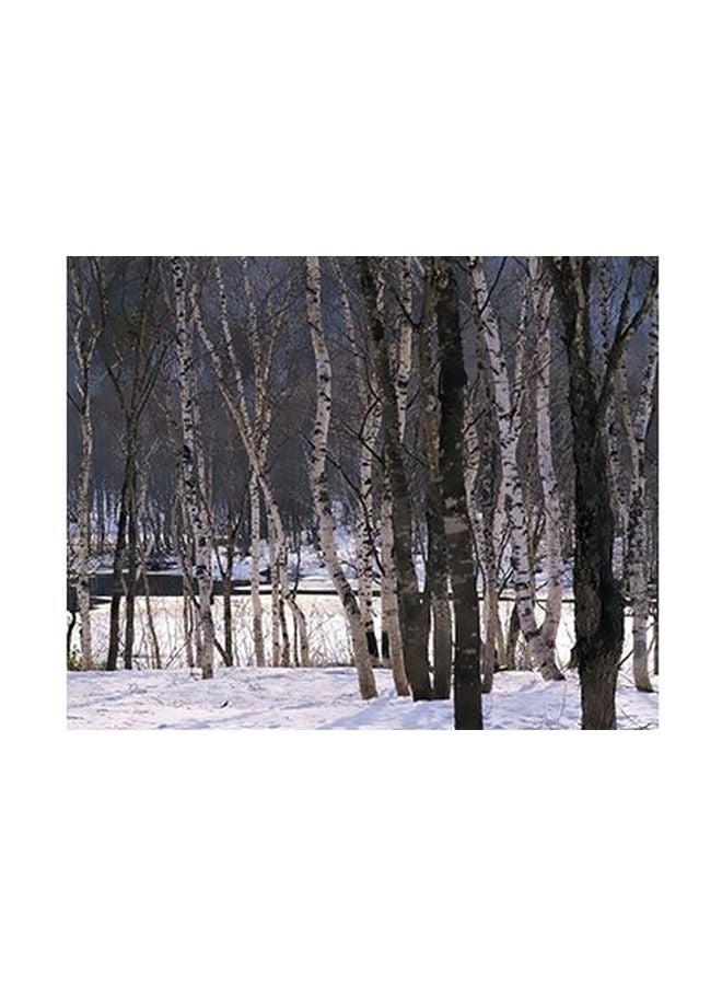 بوستر حائط للتزيين أبيض/ أسود