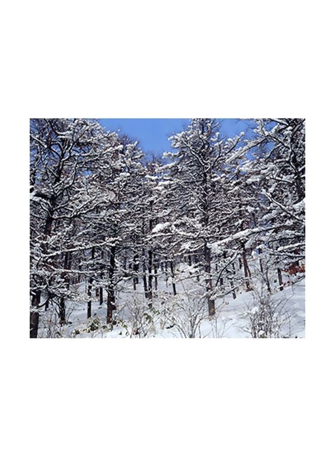 Photo Block Decorative Wall Art Multicolour 15x20cm 