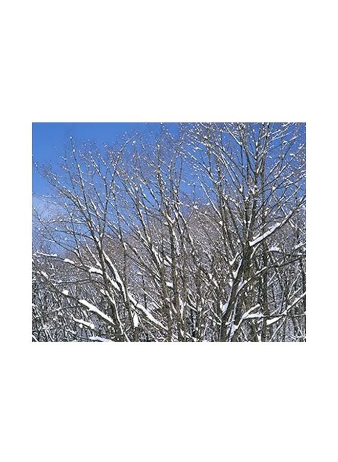Photo Block Decorative Wall Painting With Frame White/Blue/Brown 15x20cm 