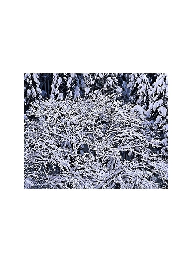 Photo Block Decorative Wall Painting White/Blue 15x20cm 