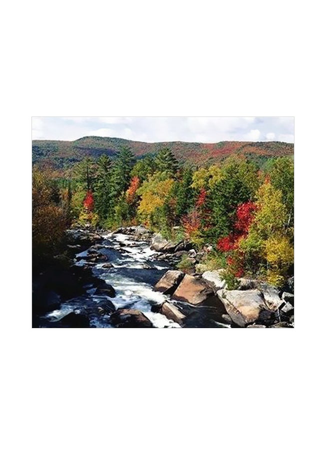 بوستر حائط للتزيين أحمر/أخضر/أبيض 24x18سم