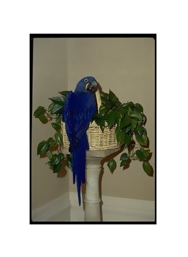 Decorative Wall Poster Green/Blue/Beige 60x40cm