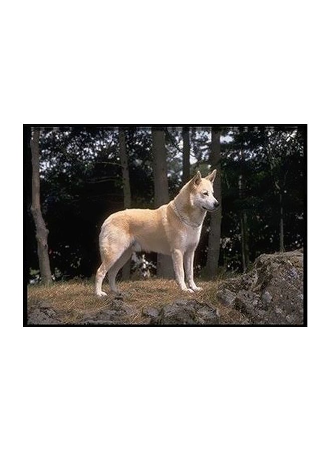 PHOTOBLOCK Decorative Wall Poster Black/Brown/White 24x18cm