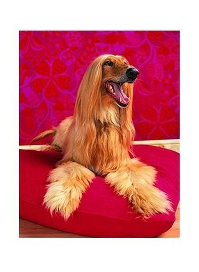 Decorative Wall Poster Red/Beige 24x18cm