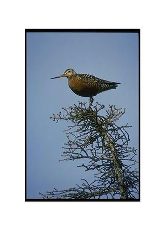 PHOTOBLOCK Decorative Wall Poster Multicolour 60x40cm