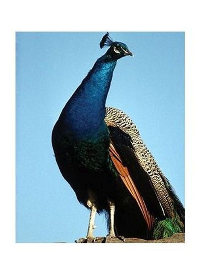 PHOTOBLOCK Decorative Wall Poster Multicolour 24x18cm