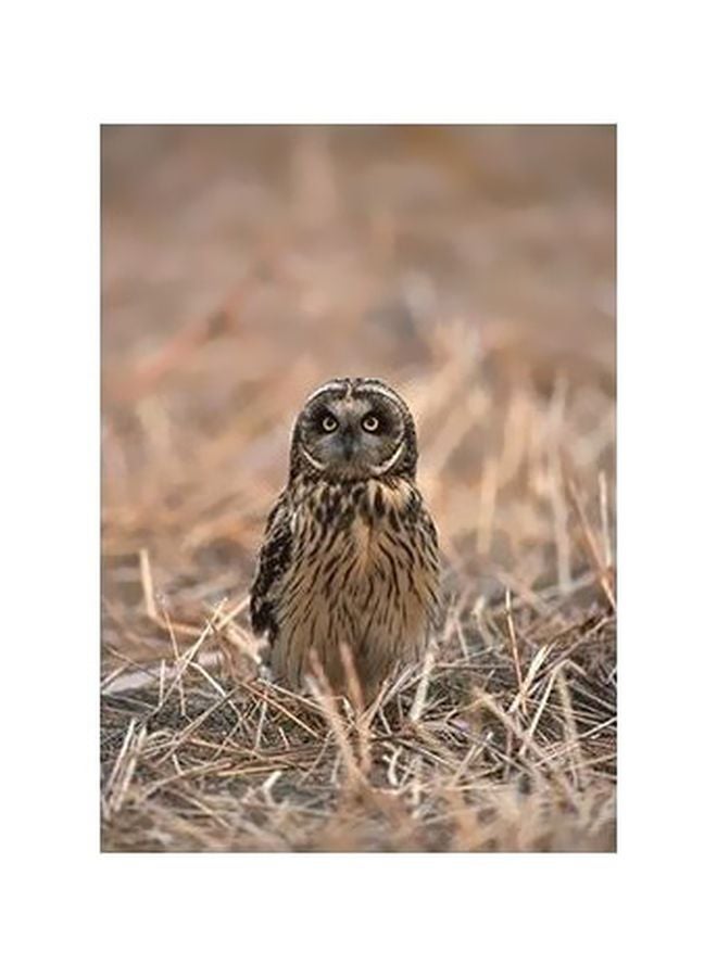 فوتو بلوك بوستر حائط للتزيين بيج / أسود 24x18سم