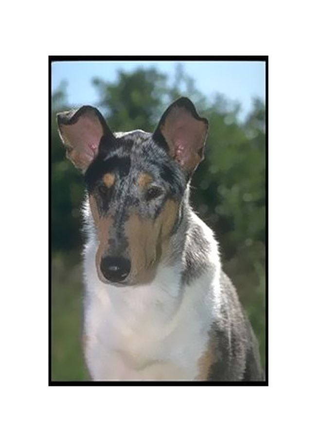 PHOTOBLOCK Decorative Wall Poster White/Black/Green 24x18cm