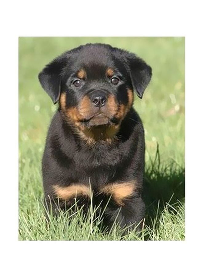 بوستر حائط للتزيين أسود/أخضر/بيج 24x18سم