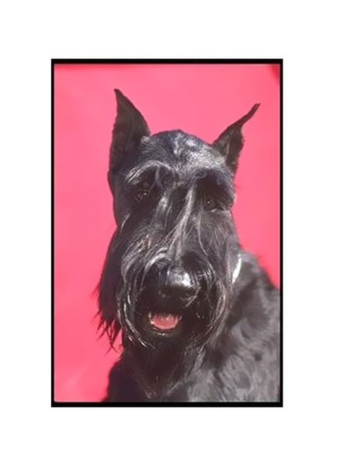 بوستر حائط للتزيين أسود/ وردي/ رمادي 24x18سم