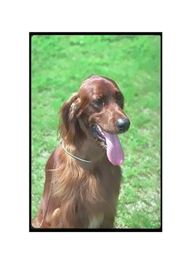 بوستر حائط للتزيين لون بني/ أخضر/ رمادي 24x18سم