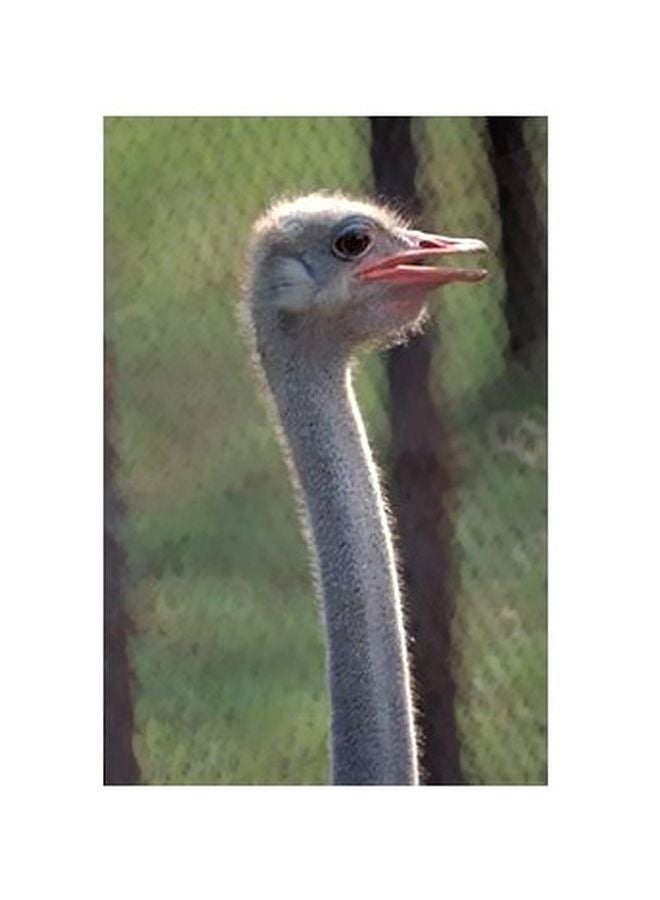 بوستر حائط للتزيين أبيض / أخضر / رمادي 24x18سم