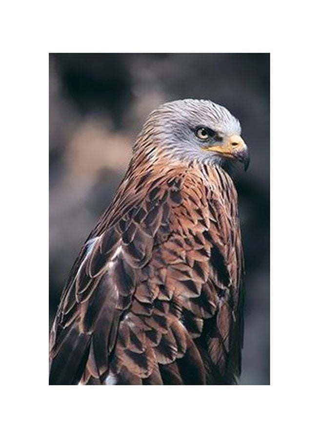 PHOTOBLOCK Decorative Wall Poster Brown/White/Grey 24x18cm