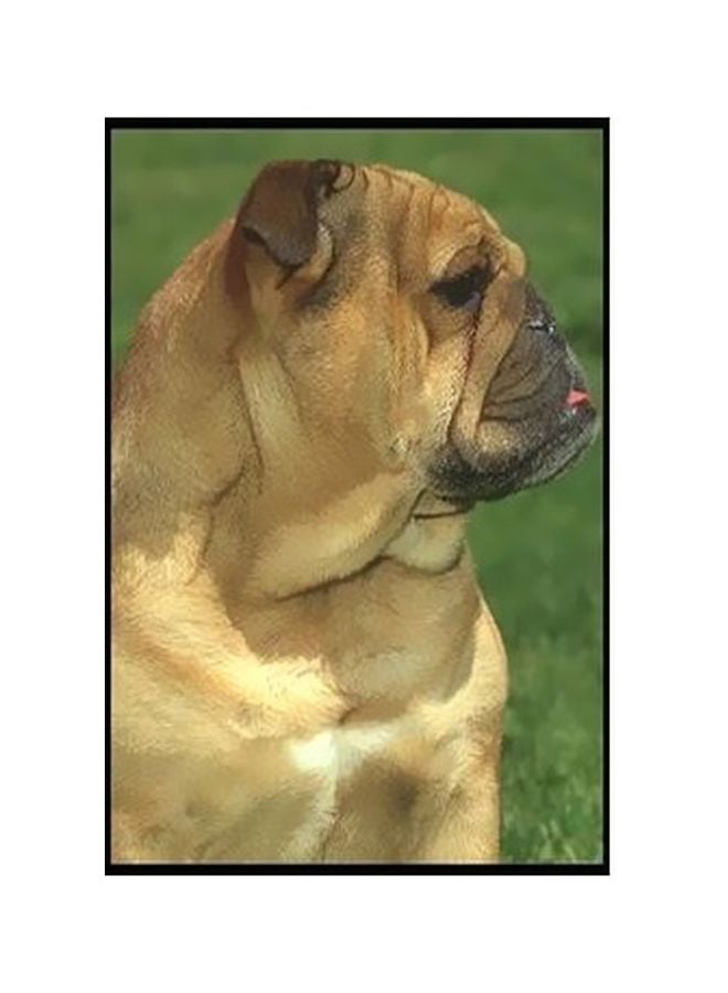 بوستر حائط للتزيين متعدد الألوان 24x18سم