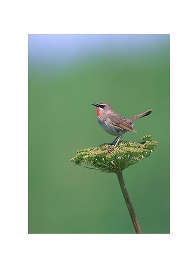بوستر حائط للتزيين أخضر/رمادي 24x18سم