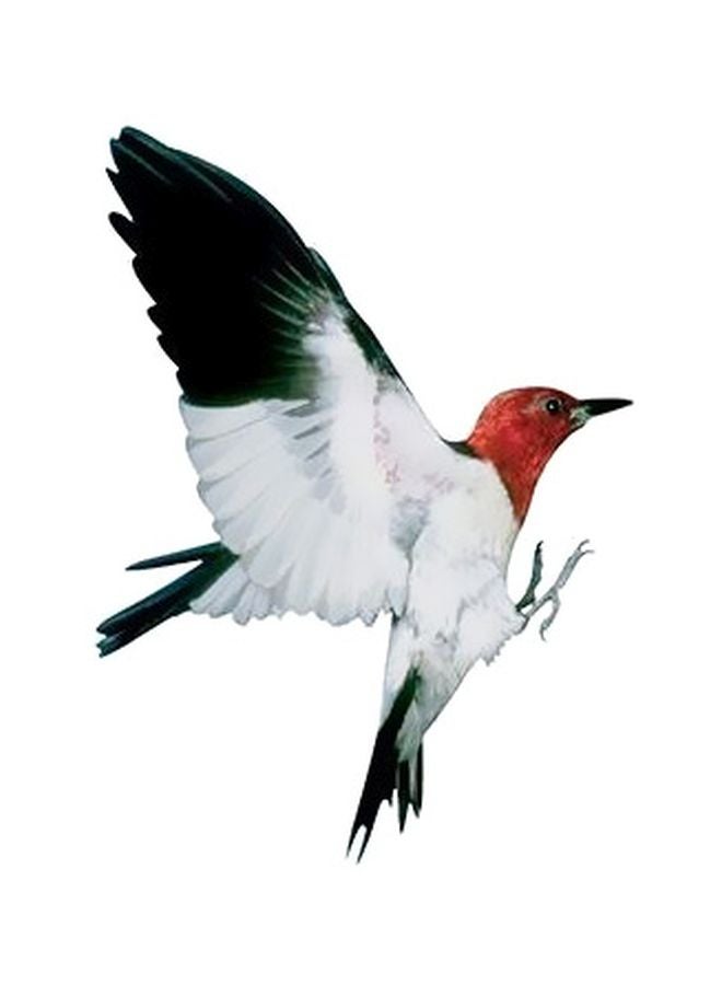 بوستر حائط للتزيين أبيض/أحمر/أخضر 24x18سم