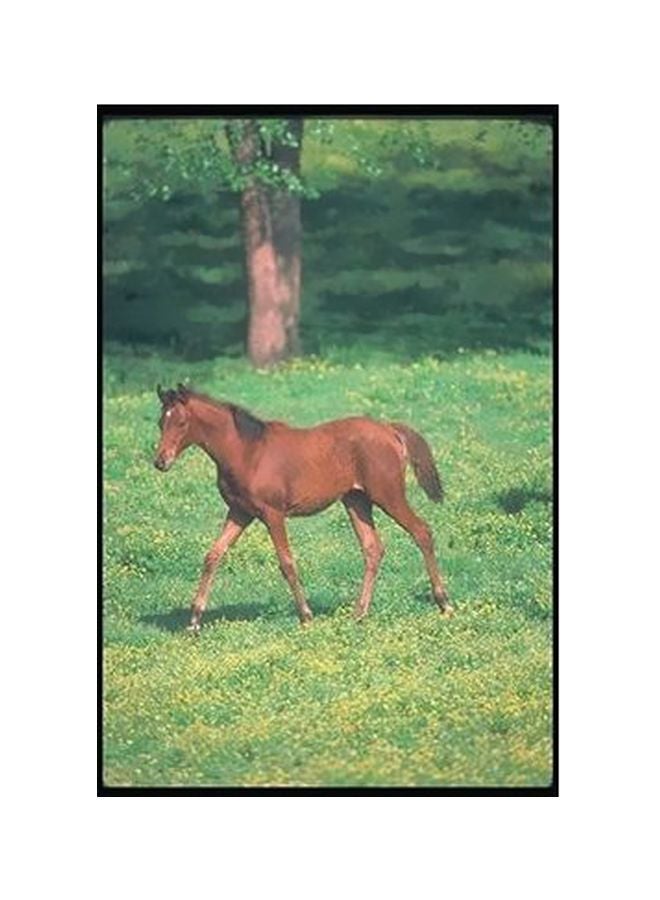 Decorative Wall Poster Green/Brown 24x18cm