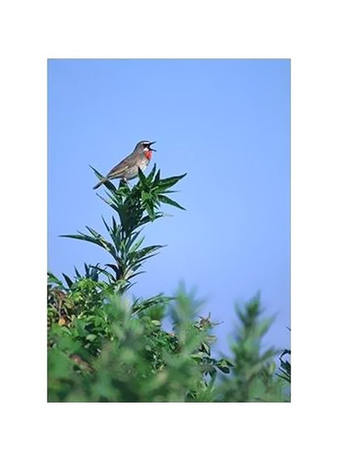 PHOTOBLOCK Decorative Wall Poster Green/Blue 24x18cm