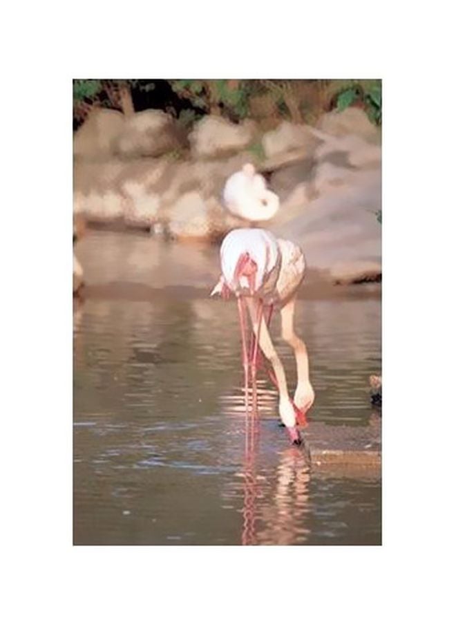 PHOTOBLOCK Decorative Wall Poster Beige/Pink/White 24x18cm