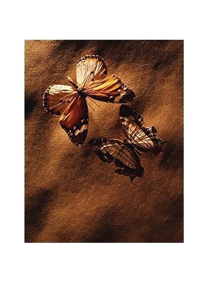 فوتو بلوك بوستر حائط للتزيين متعدد الألوان 60x40سم