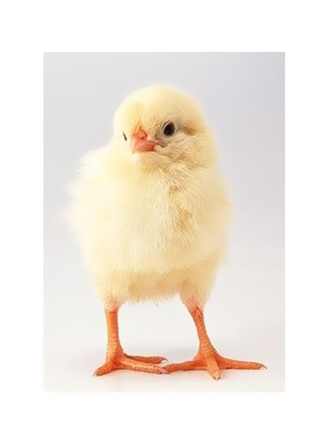 Decorative Wall Poster White/Beige 24x18cm