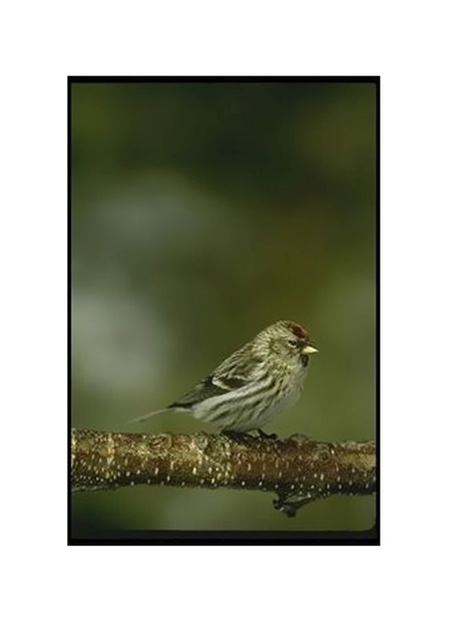 بوستر حائط للتزيين أخضر / بني 24x18سم