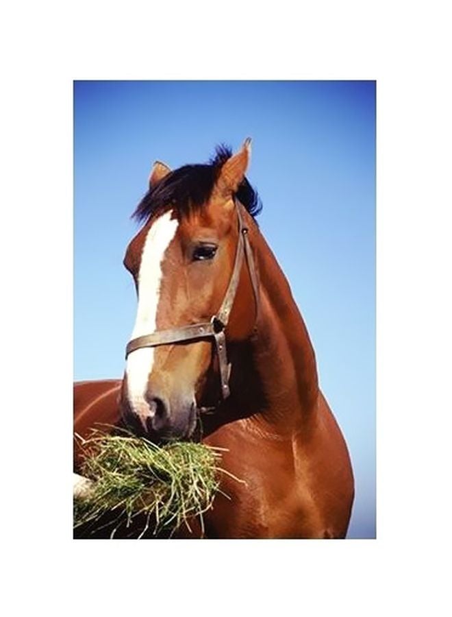 Decorative Wall Poster Brown/Blue/White 24x18cm