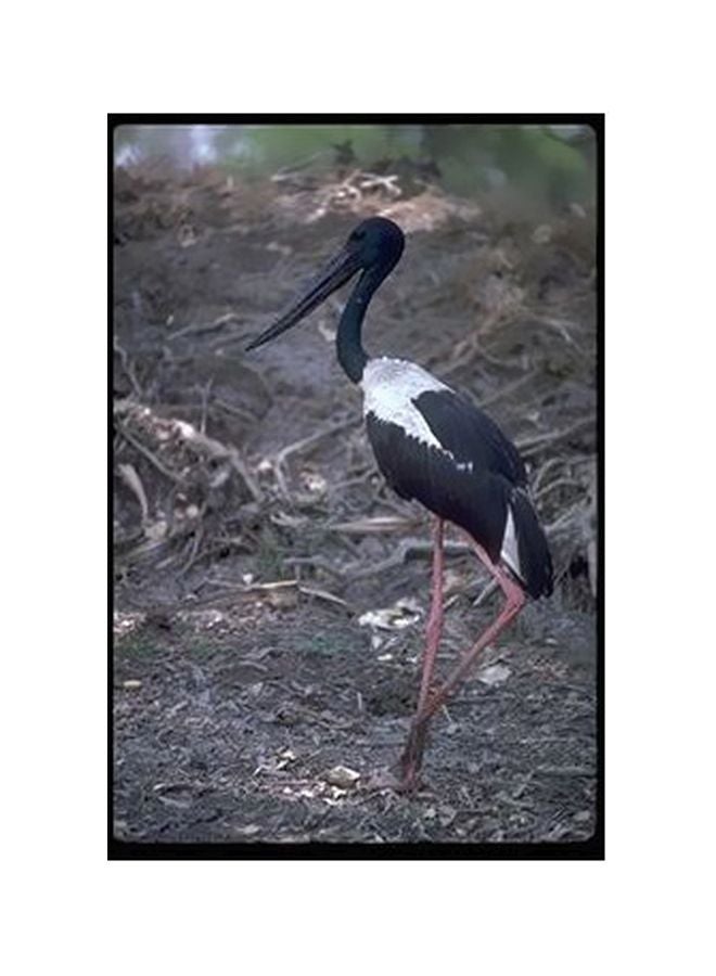 PHOTOBLOCK Decorative Wall Poster Grey/Black/Green 24x18cm