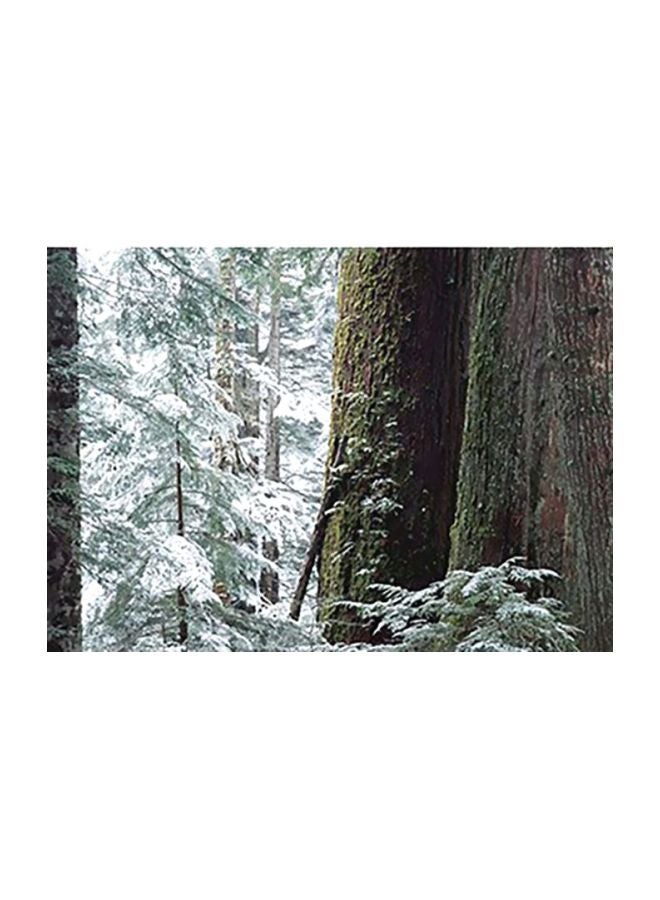 بوستر جداري للتزيين مع إطار متعدد الألوان 40x60سم