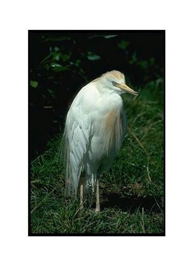 Decorative Wall Poster Green/White 24×18cm