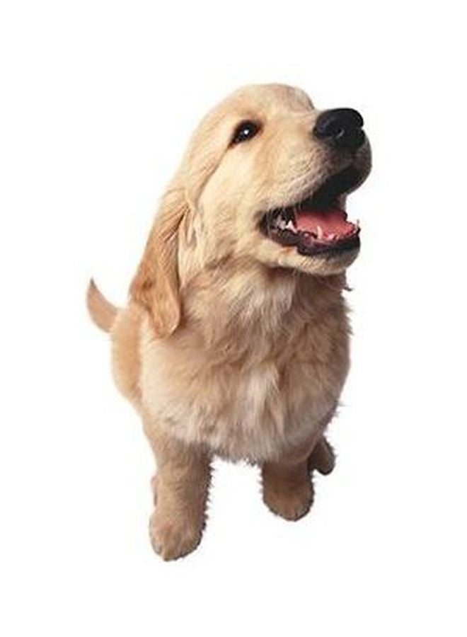 PHOTOBLOCK Decorative Wall Poster Beige/Black/Pink 24×18cm