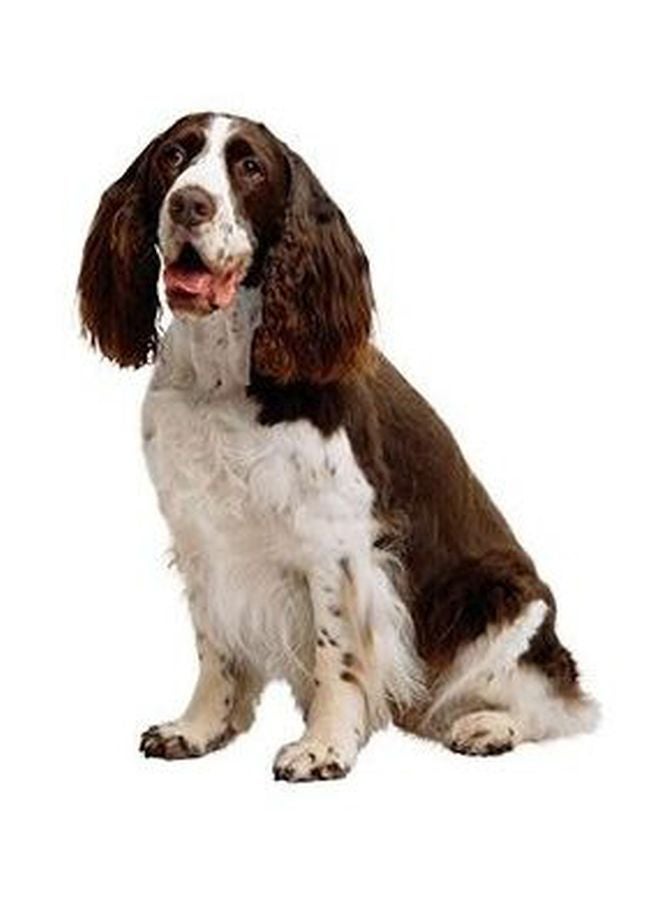 فوتو بلوك بوستر حائط للتزيين البني/الأبيض 24x18سم