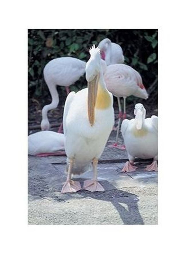 Decorative Wall Poster White/Green/Yellow 24x18cm