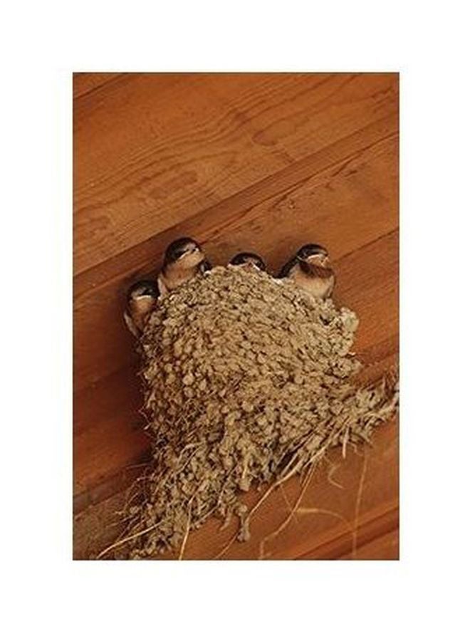 بوستر حائط للتزيين بيج/بني/أسود 24x18سم