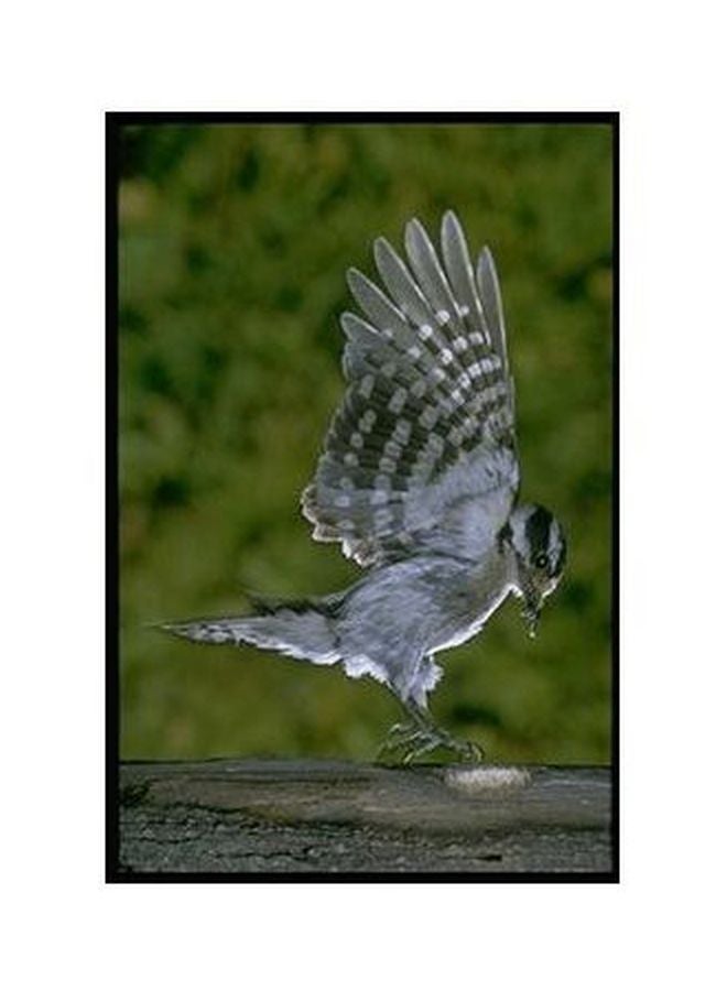 Decorative Wall Poster Green/Grey 24x18cm