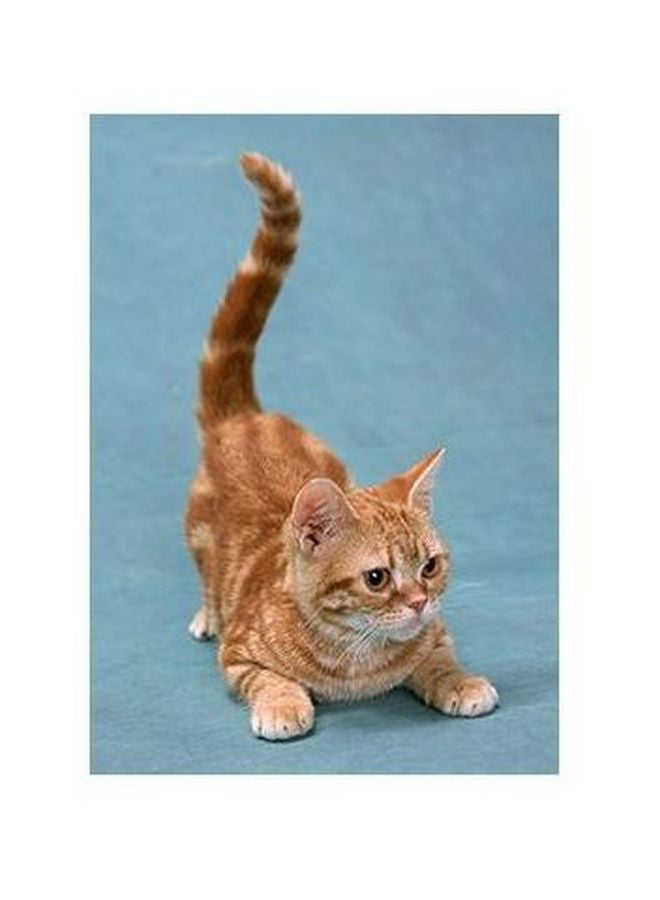 فوتو بلوك بوستر حائط للتزيين متعدد الألوان 24x18سم