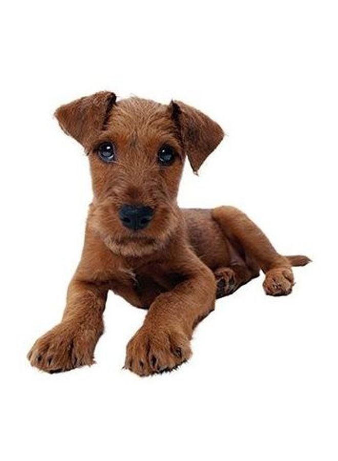 PHOTOBLOCK Decorative Wall Poster Brown/White 24x18cm