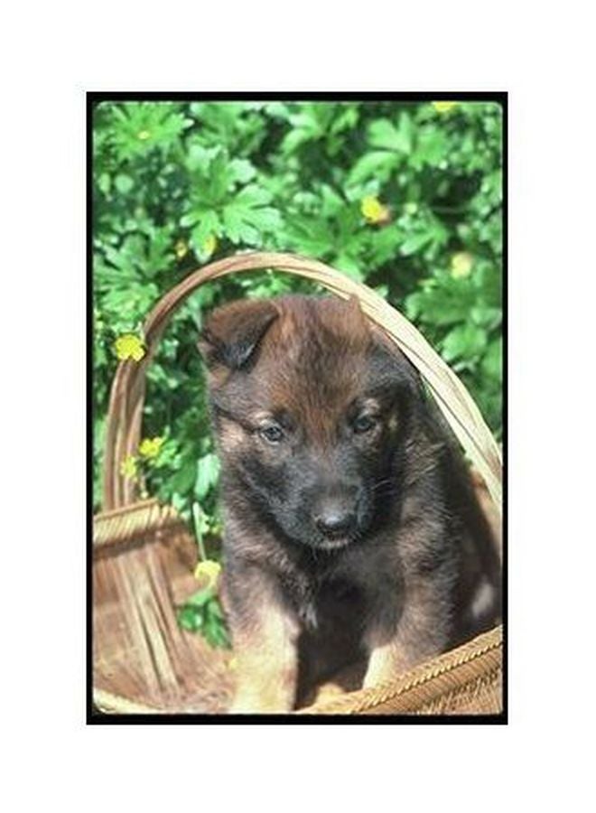 فوتو بلوك بوستر حائط للتزيين أخضر/أسود/بني 24 ×18سم