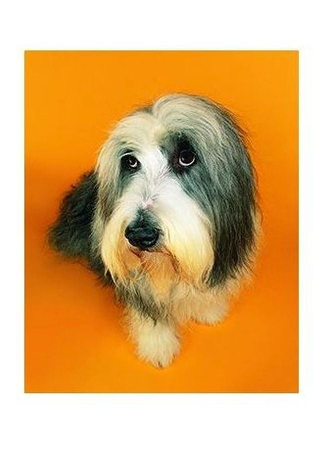 PHOTOBLOCK Decorative Wall Poster Yellow/Black/White 24 ×18cm