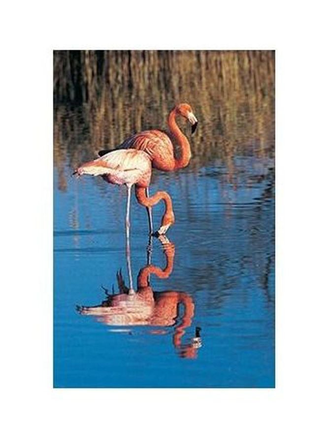 بوستر حائط للتزيين وردي/ أزرق/ أبيض 24x18سم