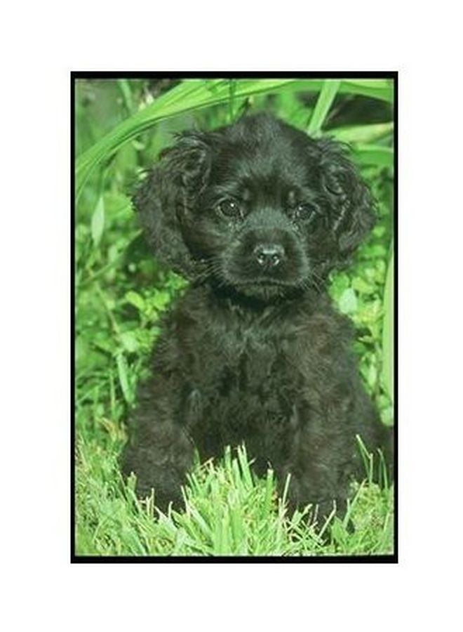 فوتو بلوك بوستر حائط للتزيين أسود/أخضر 24x18سم