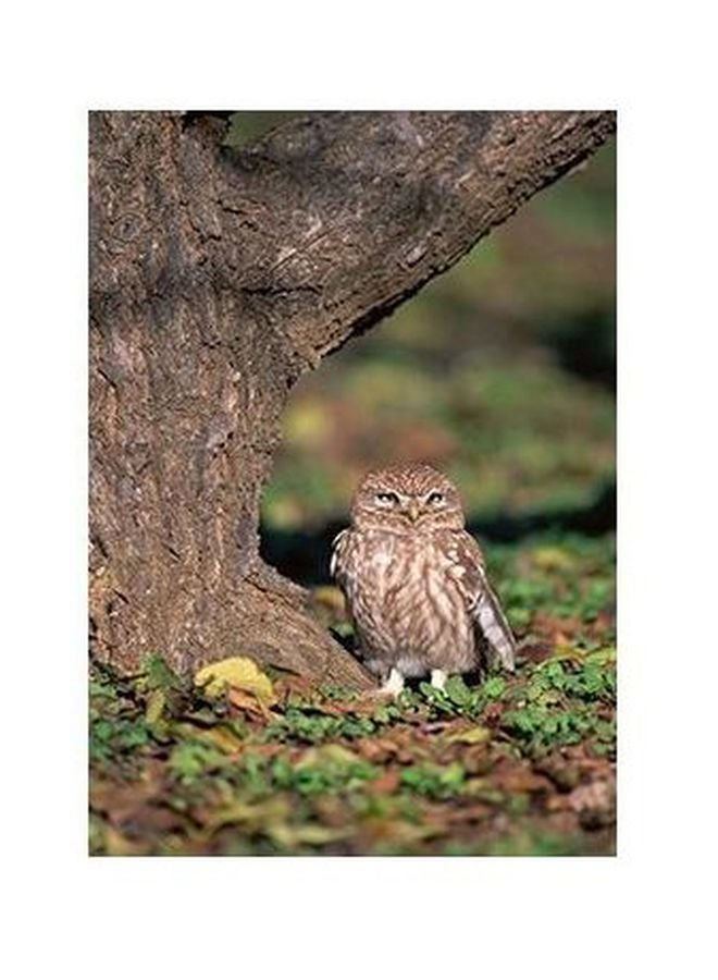 PHOTOBLOCK Decorative Wall Poster Brown/Green/White 24x18cm