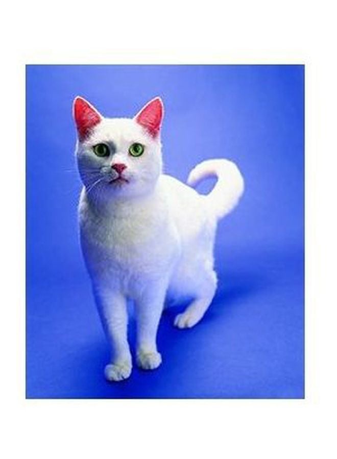 PHOTOBLOCK Decorative Wall Poster Blue/White 24x18cm
