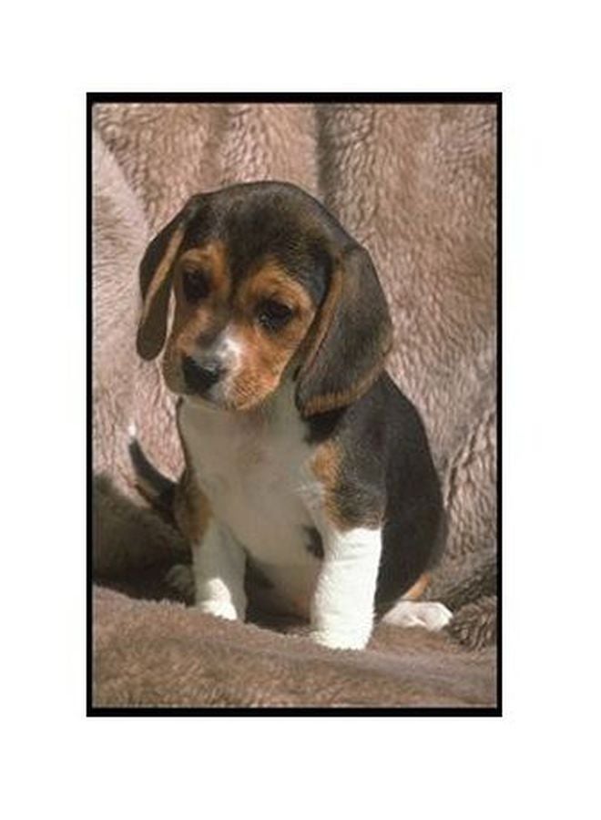 بوستر حائط للتزيين بيج/أسود/أبيض 24x18سم