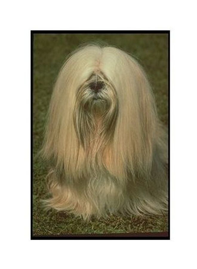 بوستر حائط للتزيين بيج / أخضر 24x18سم