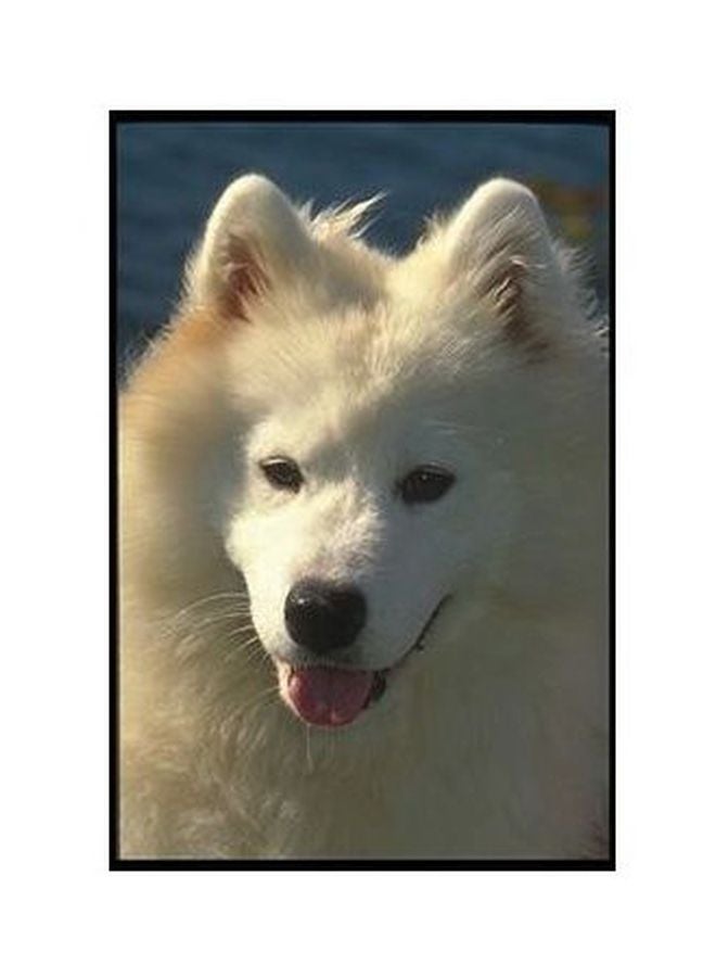 PHOTOBLOCK Decorative Wall Poster White/Black 24x18cm 