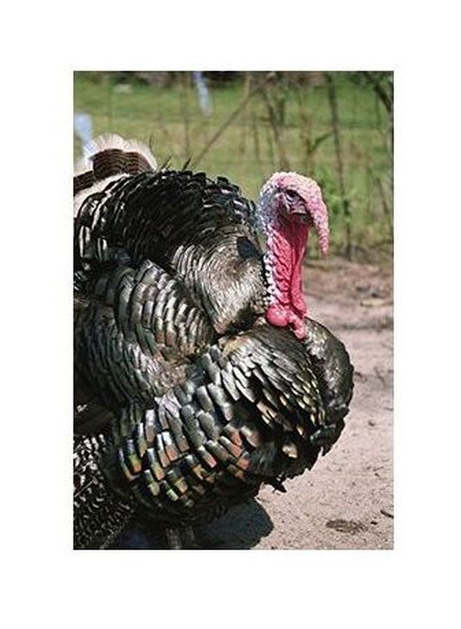 PHOTOBLOCK Decorative Wall Poster Green/Black/Pink 24x18cm