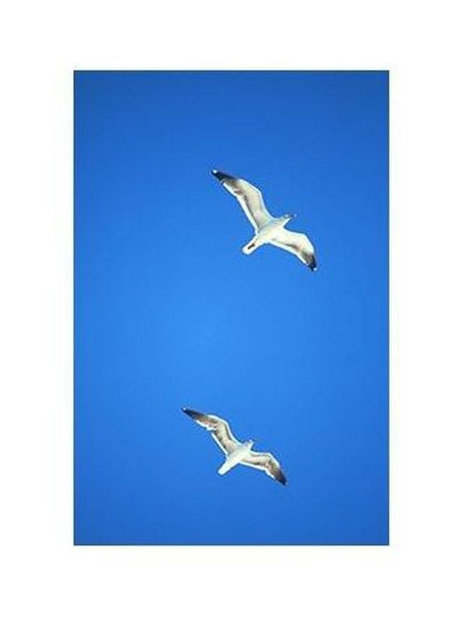 PHOTOBLOCK Decorative Wall Poster Blue/White 24x18cm 