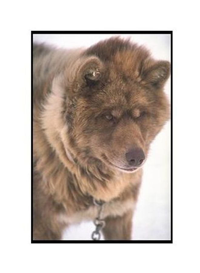 Decorative Wall Poster Brown/Black 24 ×18 Cmcm