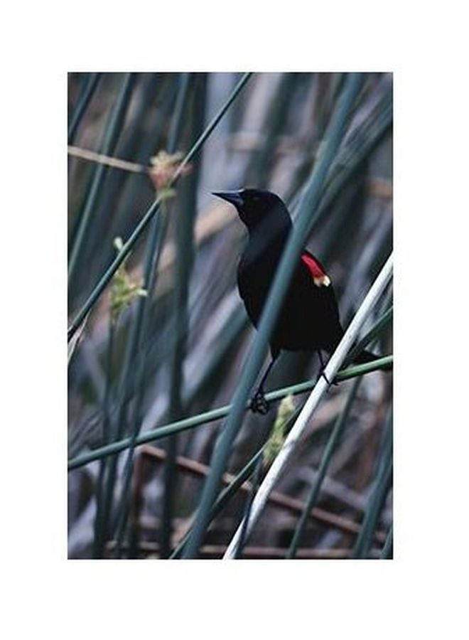 فوتو بلوك بوستر حائط للتزيين متعدد الألوان 24x18سم